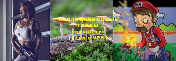 дурь Вяземский