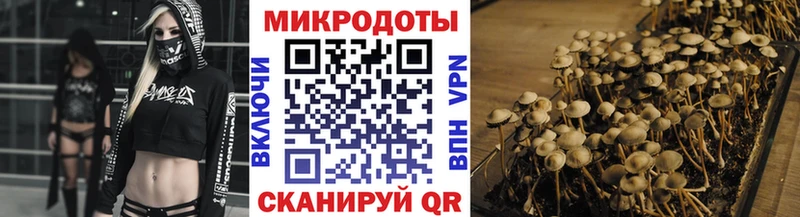 Галлюциногенные грибы MAGIC MUSHROOMS  Иланский 